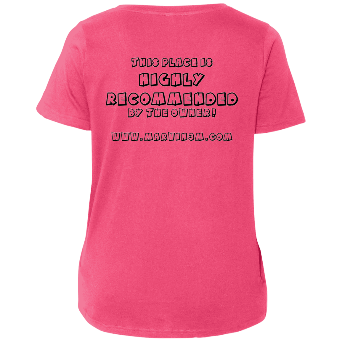 3807  Ladies' Curvy V-Neck T-Shirt