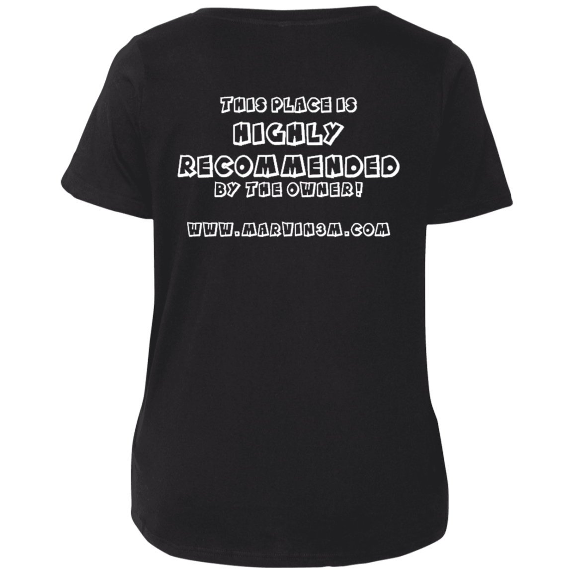 3807  Ladies' Curvy V-Neck T-Shirt