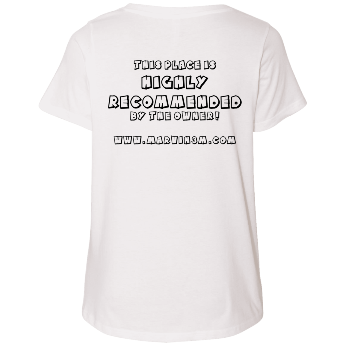 3807  Ladies' Curvy V-Neck T-Shirt